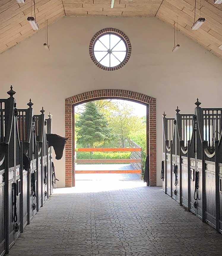 The barn on a sunny day